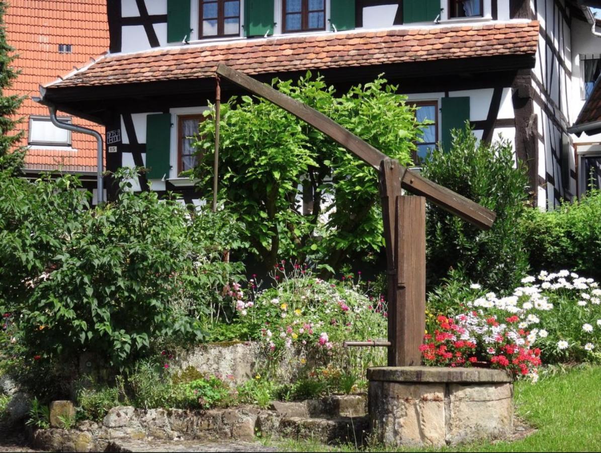 Gites Et Chambres D'Hotes Maison Ungerer Hunspach Εξωτερικό φωτογραφία