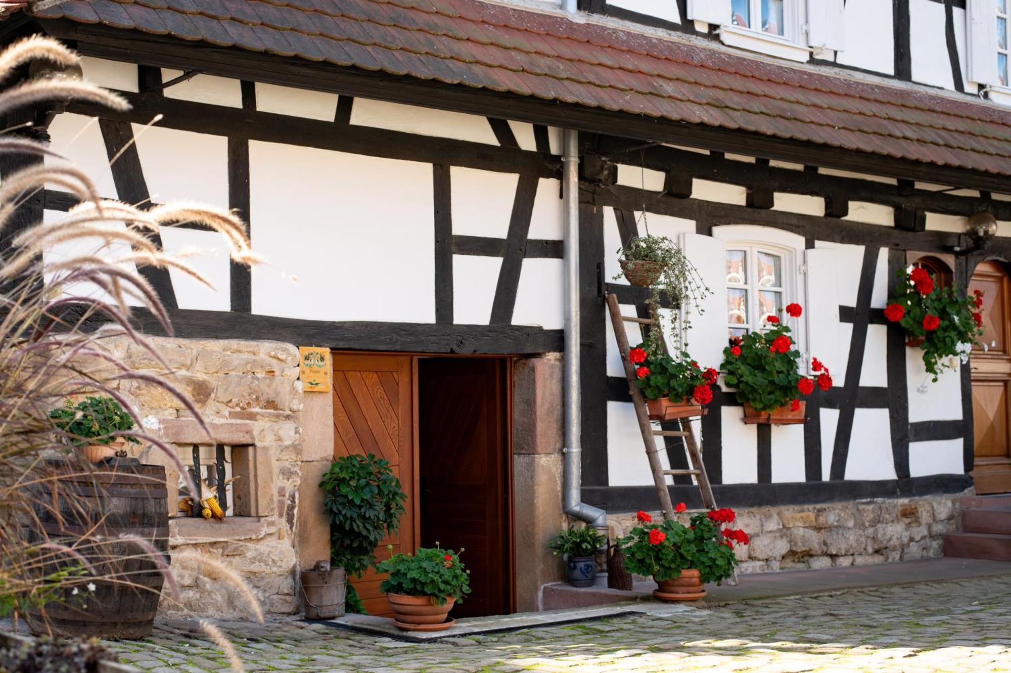 Gites Et Chambres D'Hotes Maison Ungerer Hunspach Εξωτερικό φωτογραφία