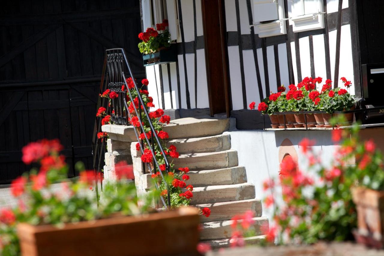 Gites Et Chambres D'Hotes Maison Ungerer Hunspach Εξωτερικό φωτογραφία